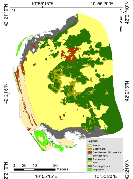 Figure 6. Segmentation results of the S1 site after OBIA methods (a) clearly demonstrate that the complex meadow area has been successfully segmented into different image objects and subsequently correctly classified into eight cover classes, producing a h