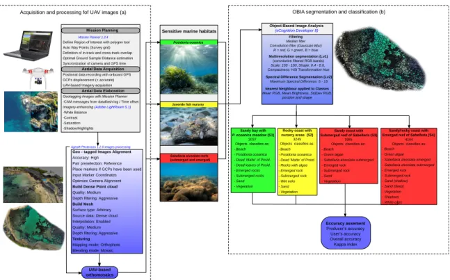 Figure 4. Typical acquisition and processing pipeline regarding acquisition, planning and processing of UAV-based aerial images (a) and object-based image analysis (OBIA) segmentation and classification of marine habitats (b).