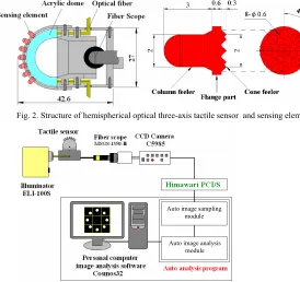 Fig. 5.  CCD camera-captured image of contact phenomenon in the optical  three-axis tactile sensor