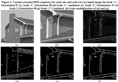 Figure 4  Various oriented DFB responses for scale one and scale two (a) Input image (b) Scale ‘1’, 