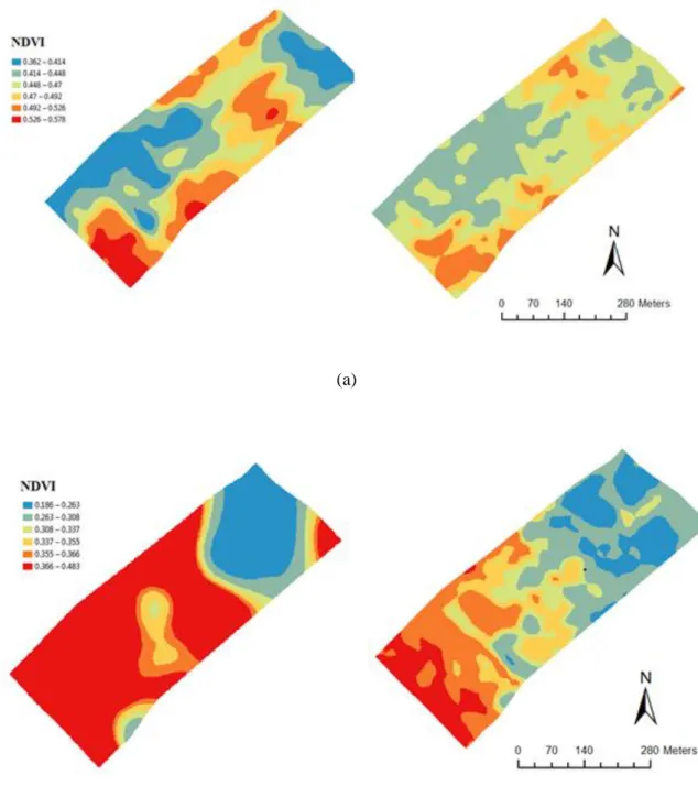 Fig.  3.  Comparison  between  measured  (right)  and  predicted  (left)  normalised  difference  vegetation  index  (NDVI)  based  on  Eq