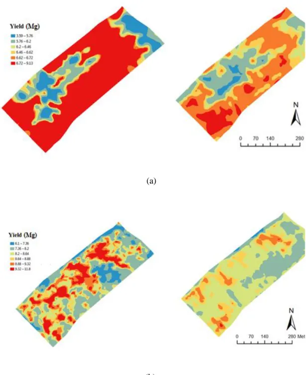 Fig. 4. Comparison between measured (right) and predicted (left) crop yield using the model of Eq