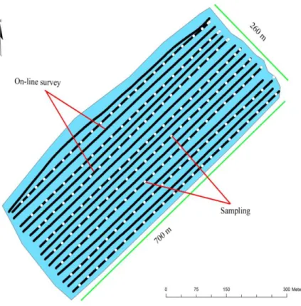 Fig. 2. On-line field survey transects and locations of 183 soil samples (Shaddad et al., 2016)