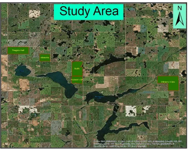 Figure 2. Digital Imagery showing the study fields 