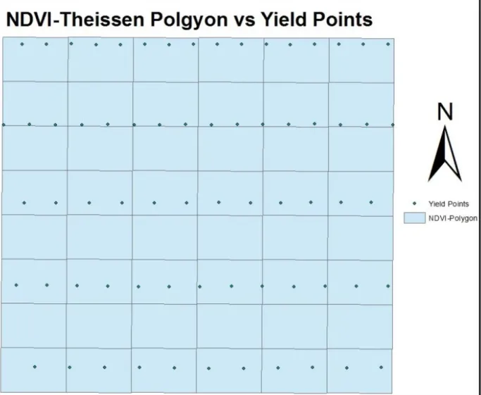 Figure 8. NDVI-Theissen Polygon and Yield points falling in it 