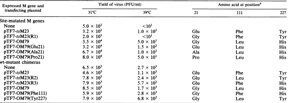 TABLE 1. Comparative rescue of M-protein mutant ts023 by transfecting plasmids expressing site-mutated M genes or wt-mutantchimeric M genes with different amino acid substitutionsa