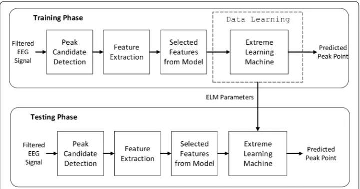 Fig. 1 Training and testing phases of EEG signal peak detection