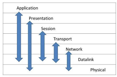 Fig. 2.3 Central Cross Layer Plane 