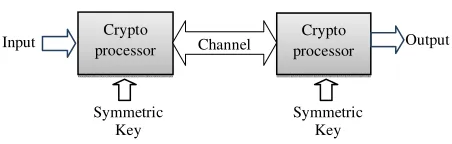 Fig 1: Crypto-processor model 
