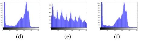 Fig 13: (a), (b), (c) are original image, encrypted image and decrypted image; (d), (e), (f) are the histogram of the images (a), (b) and (c) respectively 
