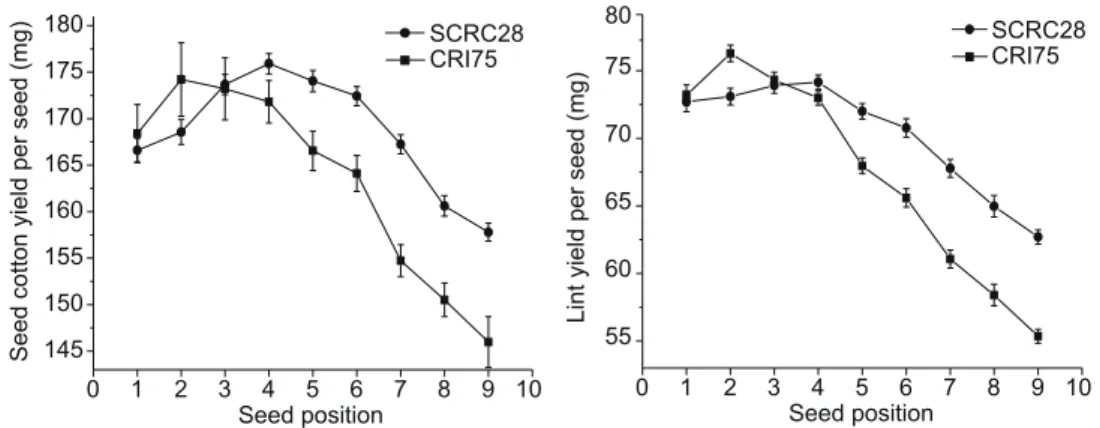 Fig. 3  Interaction effects of cultivar and seed position on seed cotton yield (SY) and the lint per seed (SL) in 2012.