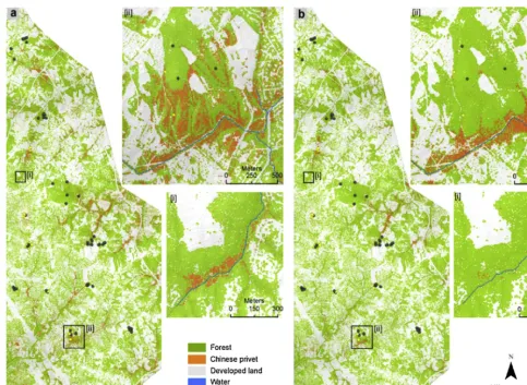 Fig. 3. The spatial distribution of Ligustrum sinense in the forest understory at experimental extent based on: (a) the top performing random forests model (F-1 accu-racy = 69.90%) developed using selected predictor variables with high variable importance, and (b) a parsimonious logistic regression model (F-1 accuracy = 54.50%).