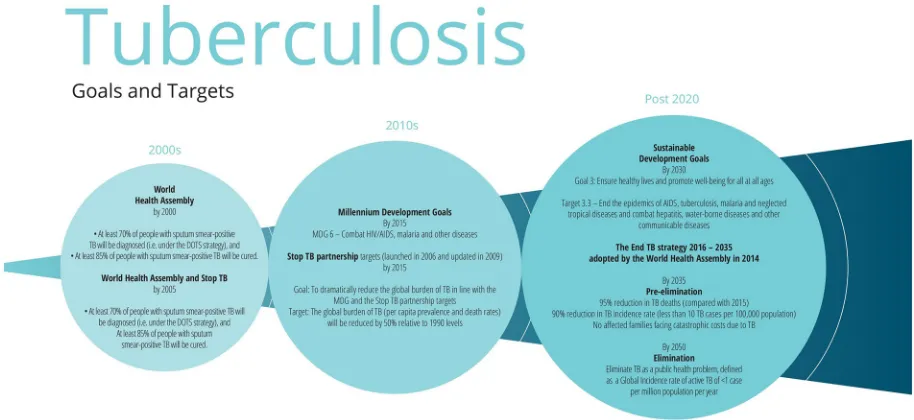 Fig 3. Major goals and targets for TB. DOTS, Directly Observed Treatment, Short Course; MDG, Millennium Development Goal; TB,tuberculosis.