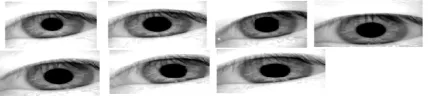 Figure 2. label the binary image based on pixel connectivity  into 