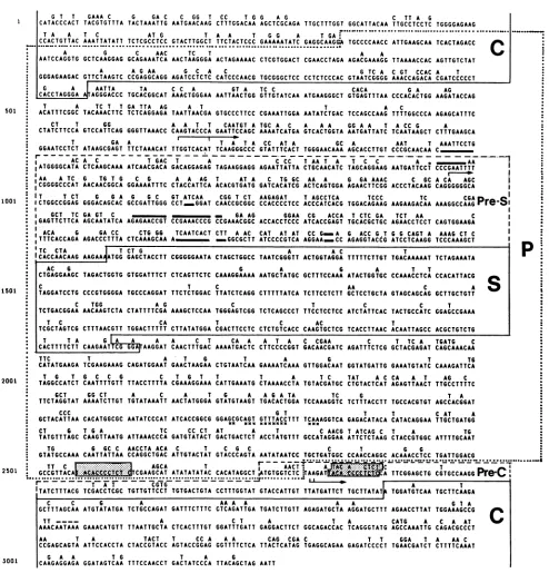 FIG. 4.haveforblacktheindicatedsequences Comparative DNA sequence analysis of the DHBV-3 genome (upper line; 35) and the HHBV-4 genome (lower line) linearized at EcoRI site
