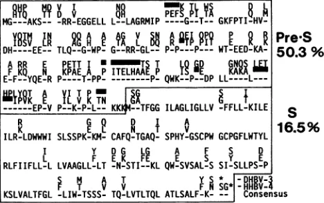 FIG. 5.predictedC) of Schematic presentation of a DNA (first row) and protein sequence alignment (rows 2, 3, and 4 represent reading frames A, B, and the DHBV-3 and the HHBV-4 genome