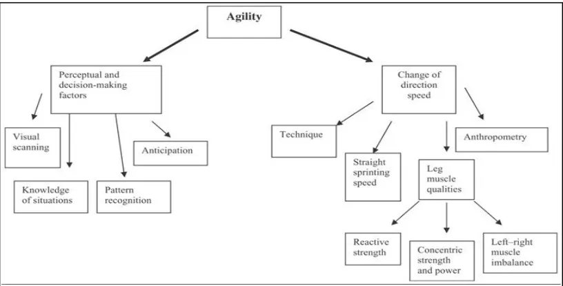 Figure 1. Universal components of agility (Sheppard & Young, 2006)  