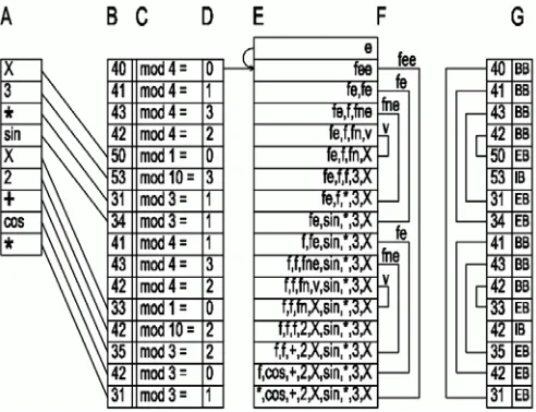 Figure 1. Relations between genotype (column B) and phenotype(column A)