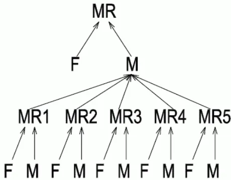 Figure 9.  The parallel structure of PGE with 6 computers