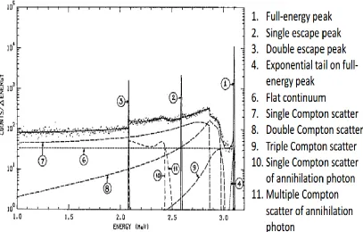 Figure 2.2: Gamma-Ray Spectrum Features [41] 
