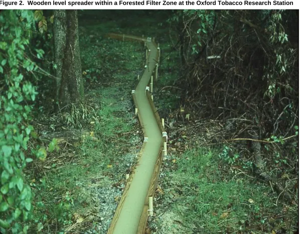 Figure 2.  Wooden level spreader within a Forested Filter Zone at the Oxford Tobacco Research Station 