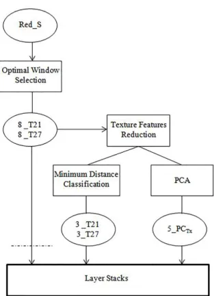 Figure 8. Texture analysis workflow. 8_T21 and 8_T27 are the 8 texture variables available for each  selected window size (21 and 27)
