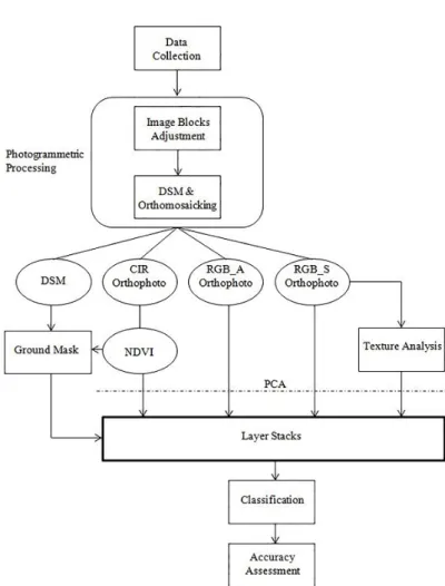 Figure 1. General workflow. 