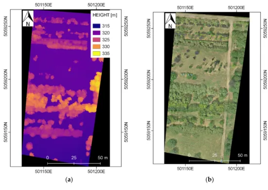 Figure 4. Cont.