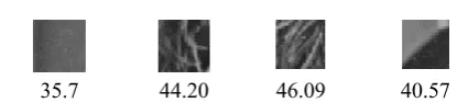 Figure 2  four domain blocks and their related entropy 