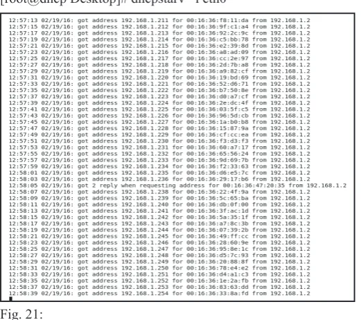 Fig. 21: