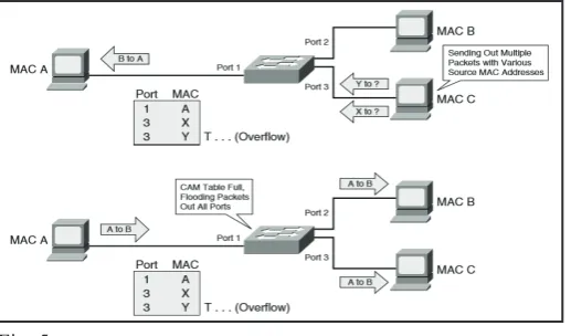 Fig. 5: