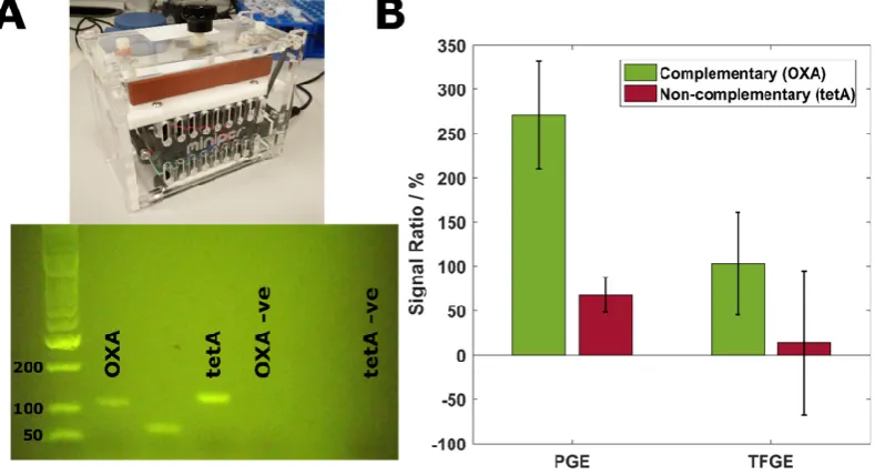 Figure 5 (A) Benchtop PCR thermocycler and gel electrophoresis results of complementary and non-complementary target amplification