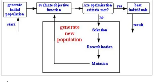 Fig 1: Structure of simple Genetic algorithm 