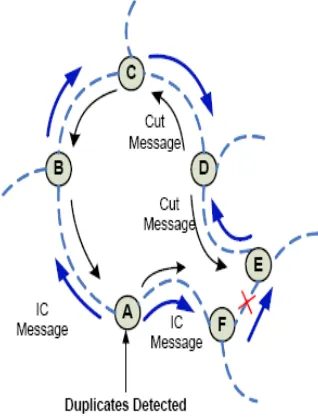 Fig 3 : DCMP Representation. 