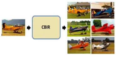 Fig 1: Example of CBIR 
