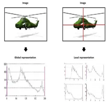 Fig 2: Example of global and local representation. (a) Global image 