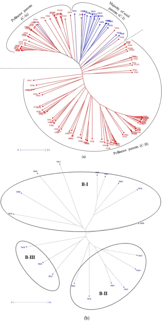 Figure 2. Cont.
