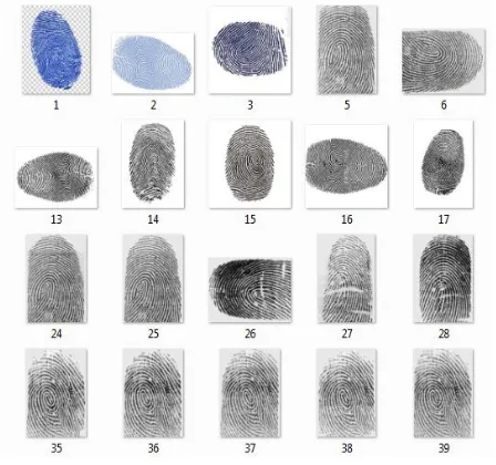 Fig. 1. Different types of fingerprint. 