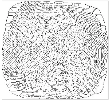 Fig. 8. Thinned Image. 