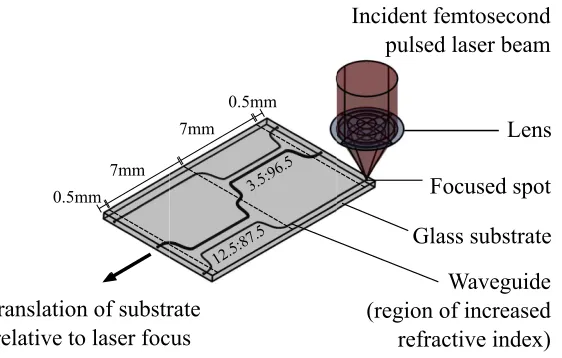 Fig. 2.Fig. 2. Illustration of the FLW process for the waveguide chip used in this experiment