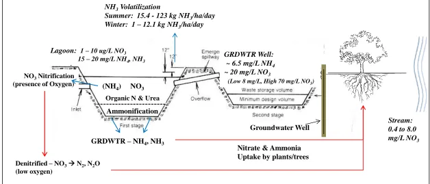 Figure 1.  Nitrogen cycle for swine waste lagoons with ammonium and nitrate concentrations found in prior research