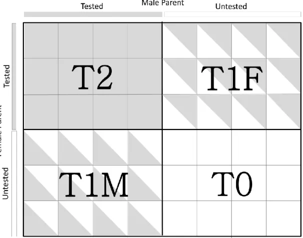 Figure 4.  Schematic visualization of T2, T1F, T1M and T0 cross-validation scenarios. 
