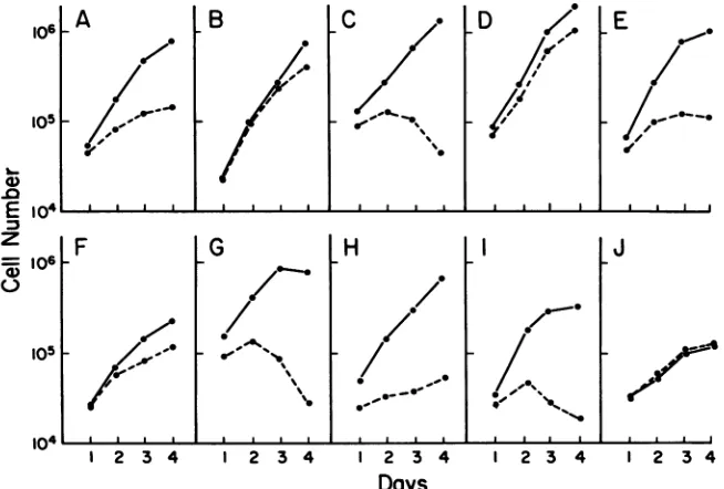 TABLE 3. Phospholipid compositions of pSV3neo transfectants