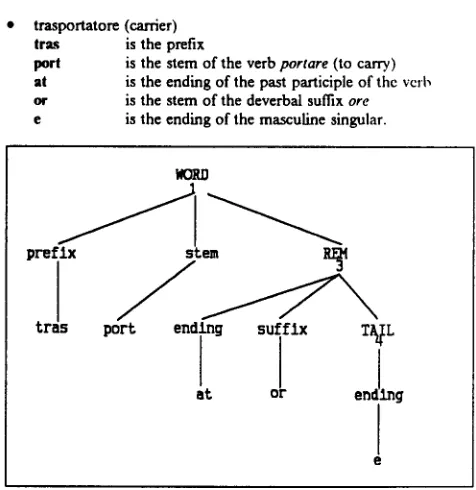 Figure 4. Parse tree for the word MURAGLIONE 