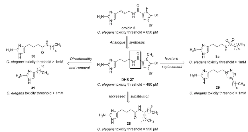 Figure 2.2.2. C. elegans toxicity thresholds of selected hexyl chain based isosteric oroidin analogues