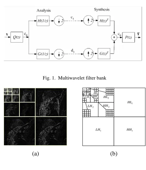Fig. 1.  Multiwavelet filter bank 