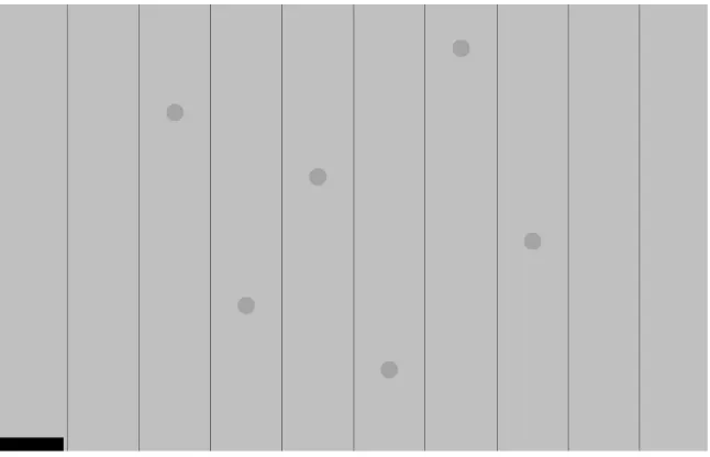 Figure 3. The experimental task was comprised of ten columns from which target balls fall from the top of the screen to the bottom of the screen