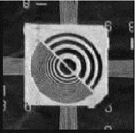 Fig. 2. Original low resolution rosette image containing 64 by 64 pixels. 