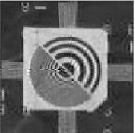 Fig. 4. Reconstructed rosette image 