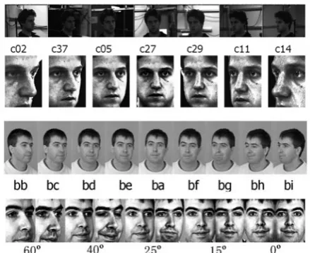 Fig. 2    Samples of CMU-PIE (above) FERET (low) database. The Each first row is snapshots of original images in database; the second row is normalized images in size of 131-by-181